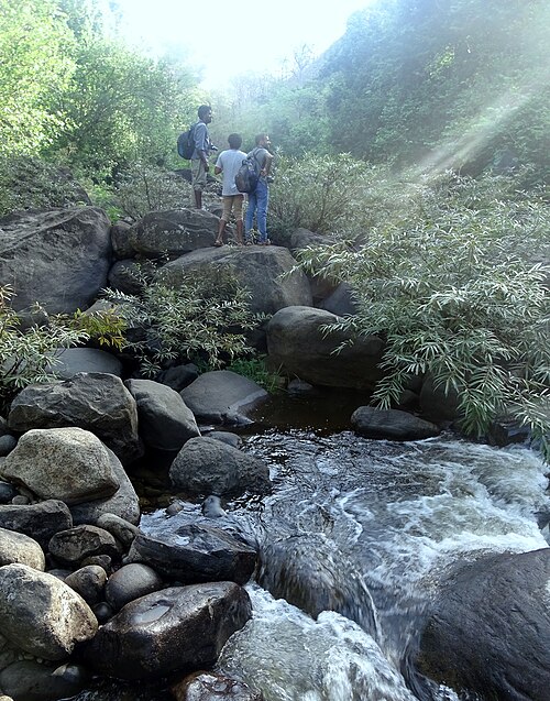 Kakkadampoyil Ghat