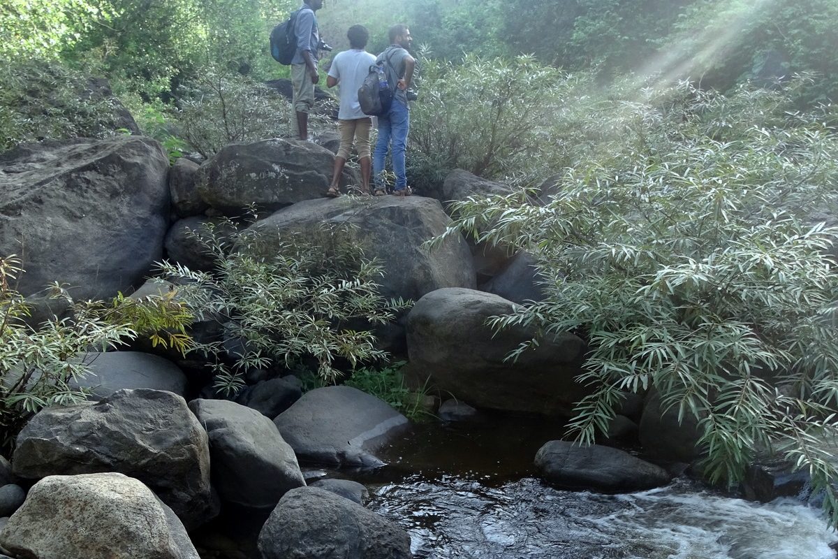 Kakkadampoyil in the Kerala Western Ghats