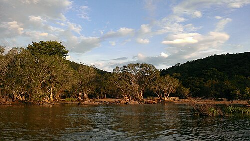 Muthathi River Bank